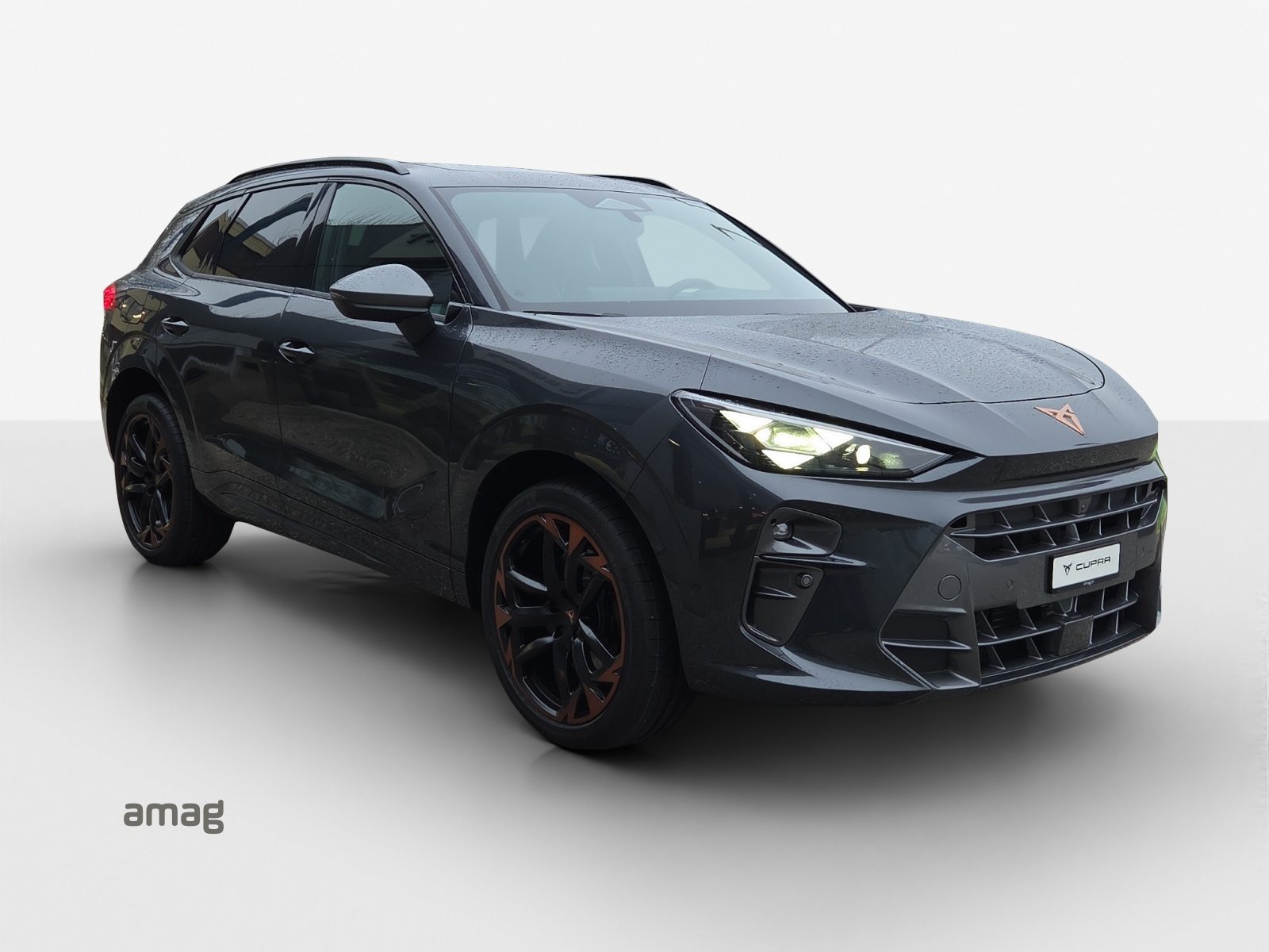 CUPRA TERRAMAR VZ 4DRIVE, Benzin, Neuwagen, Automat - 6