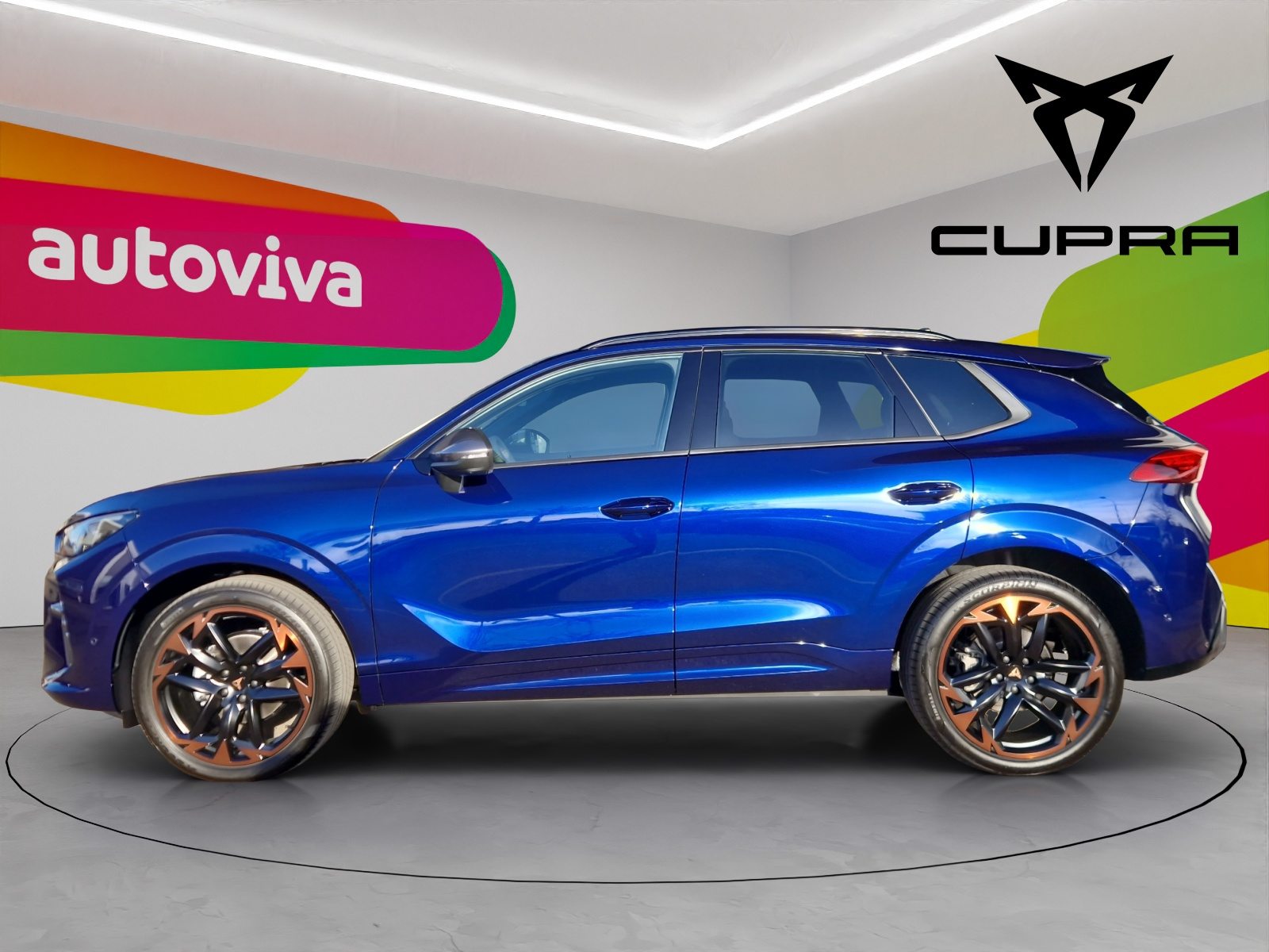 CUPRA TERRAMAR, Benzina, Occasioni / Usate, Automatico - 2