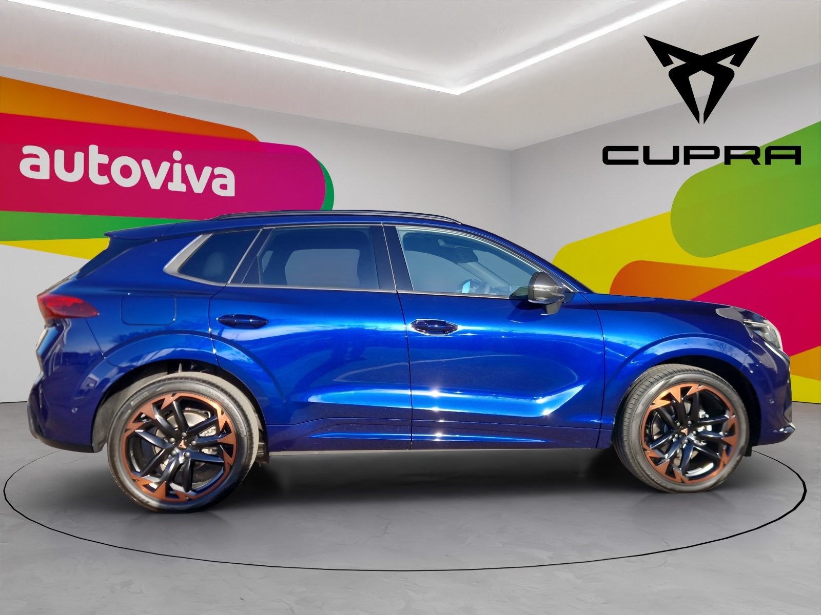 CUPRA TERRAMAR, Benzina, Occasioni / Usate, Automatico - 4