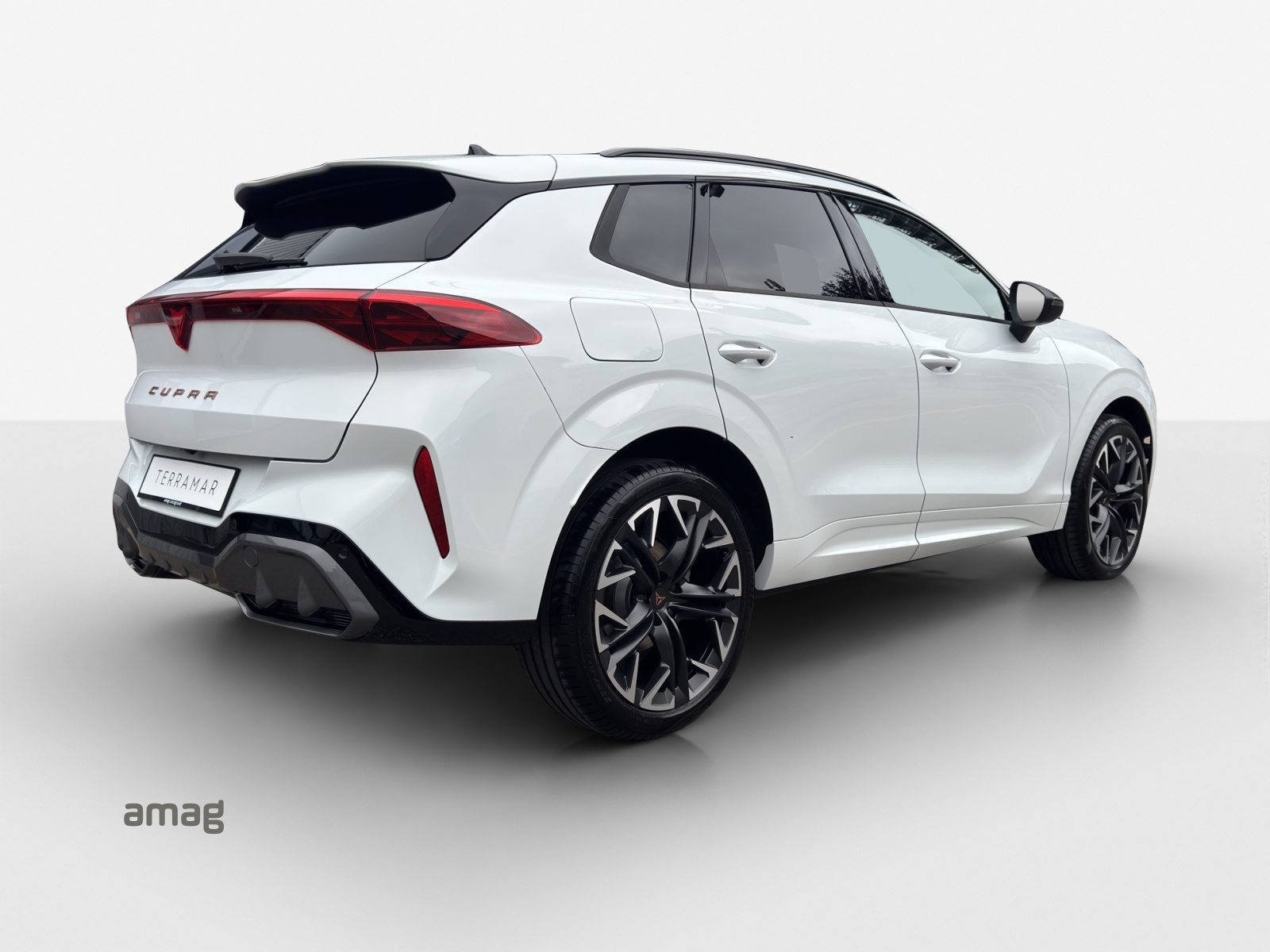 CUPRA TERRAMAR 4DRIVE, Benzin, Occasion / Gebraucht, Automat - 5
