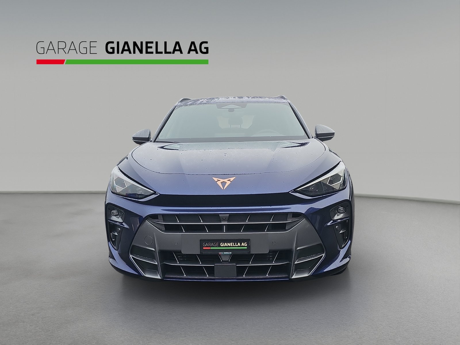 CUPRA Terramar 2.0 TSI DSG 4Drive VZ, Benzina, Occasioni / Usate, Automatico - 4