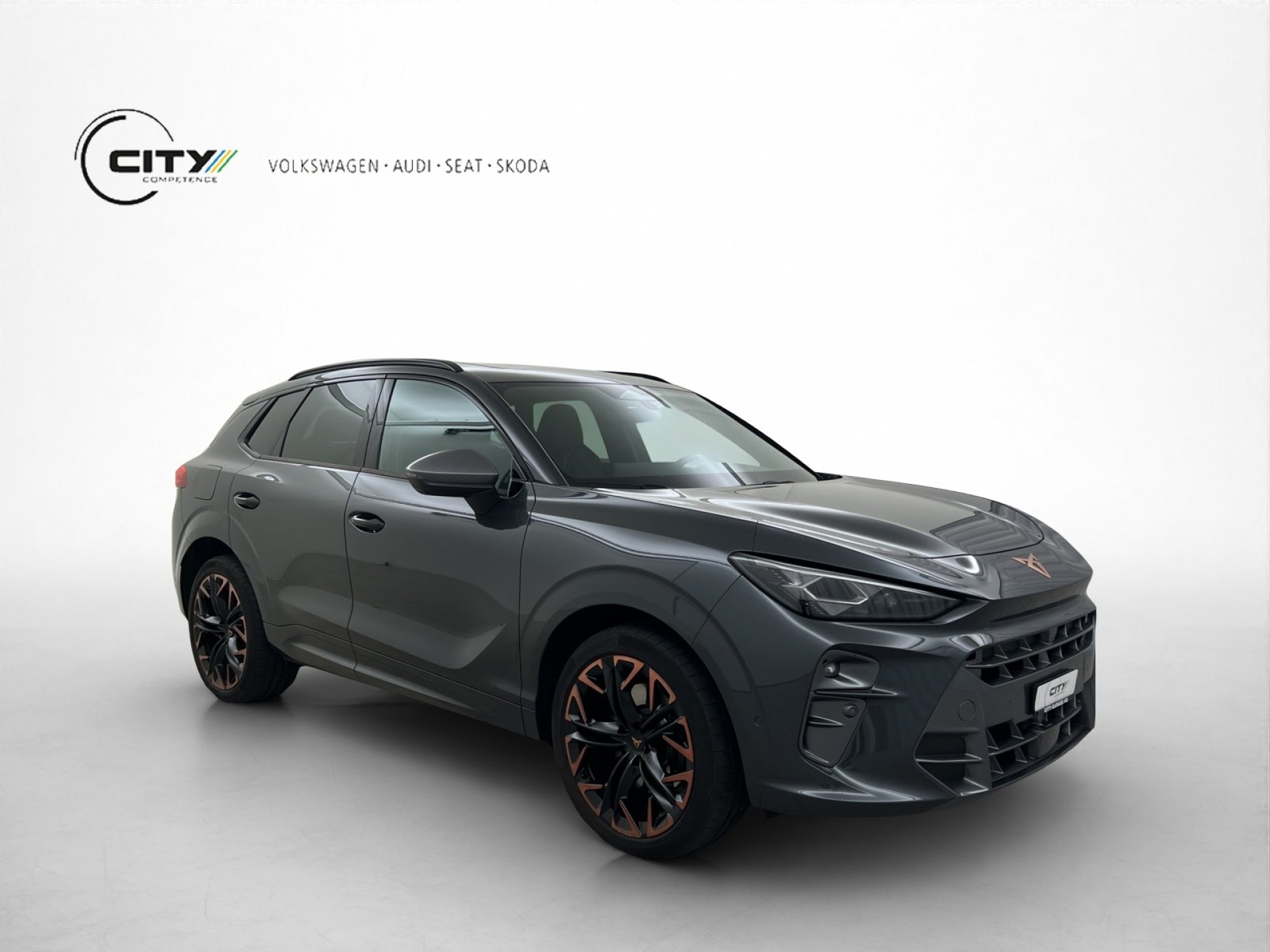 CUPRA Terramar 2.0 TSI VZ 4Drive DSG, Benzina, Occasioni / Usate, Automatico - 2