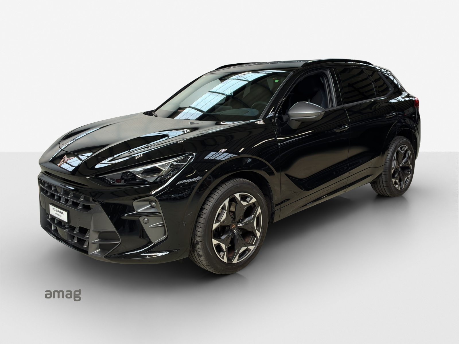 CUPRA TERRAMAR 4DRIVE