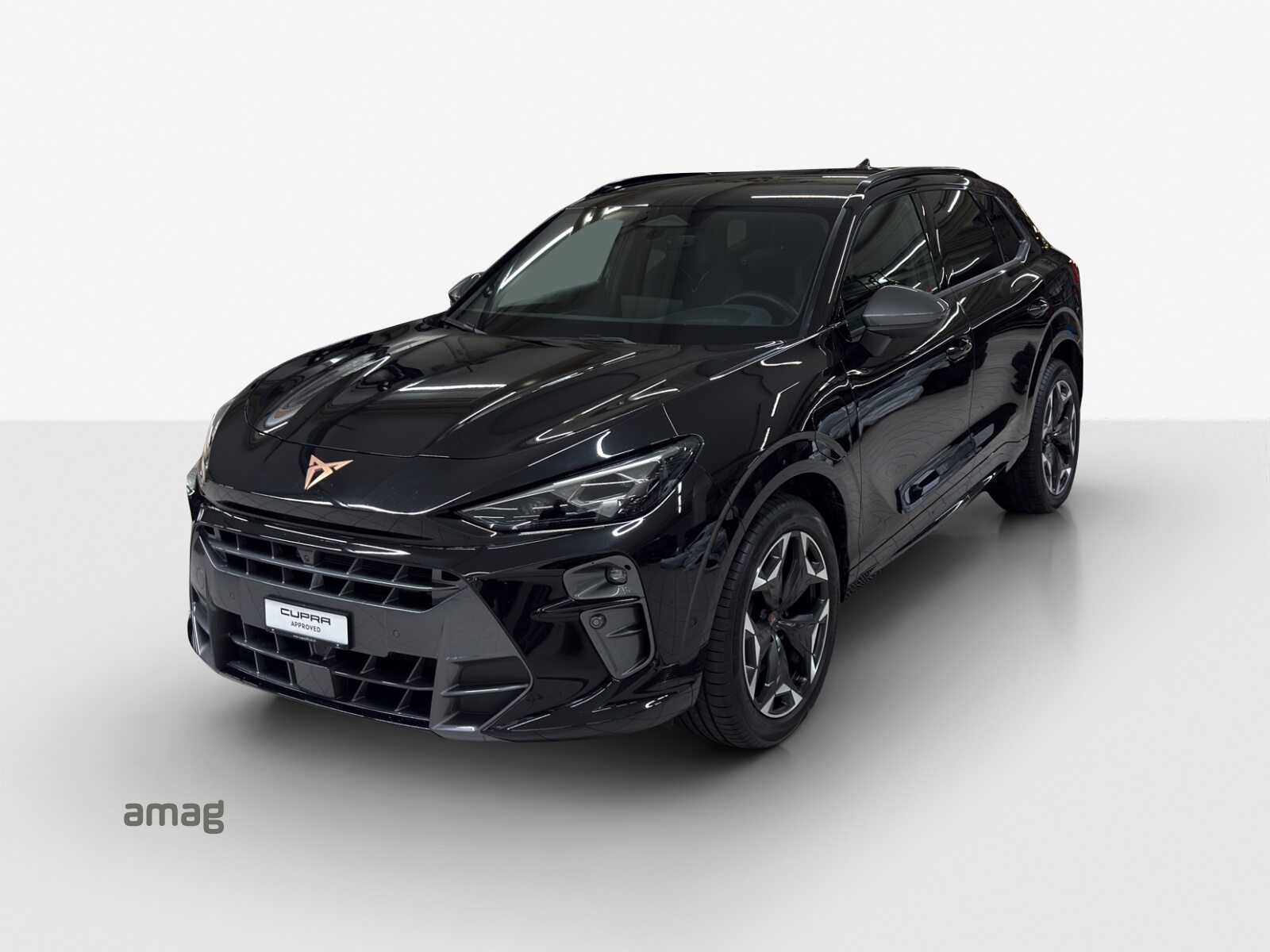 CUPRA TERRAMAR e-HYBRID