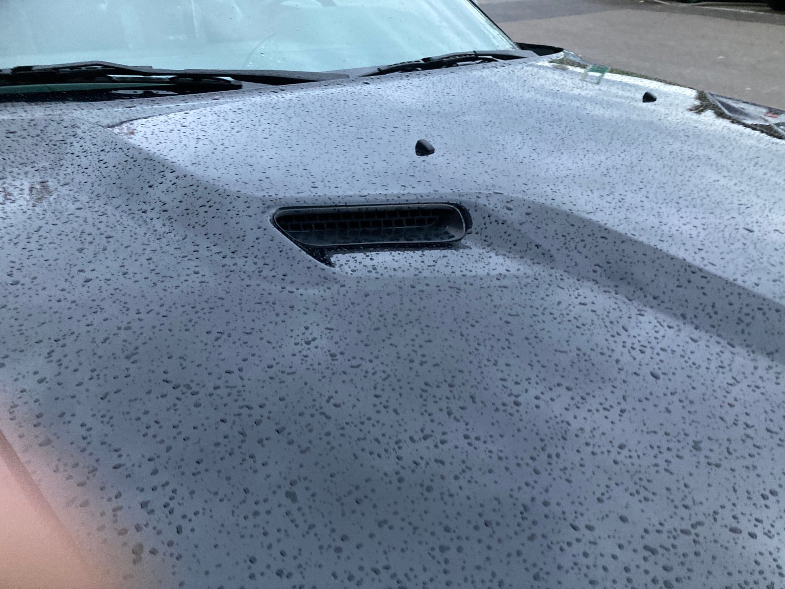 DODGE Challenger SRT-8 V8, Essence, Occasion / Utilisé, Automatique - 4