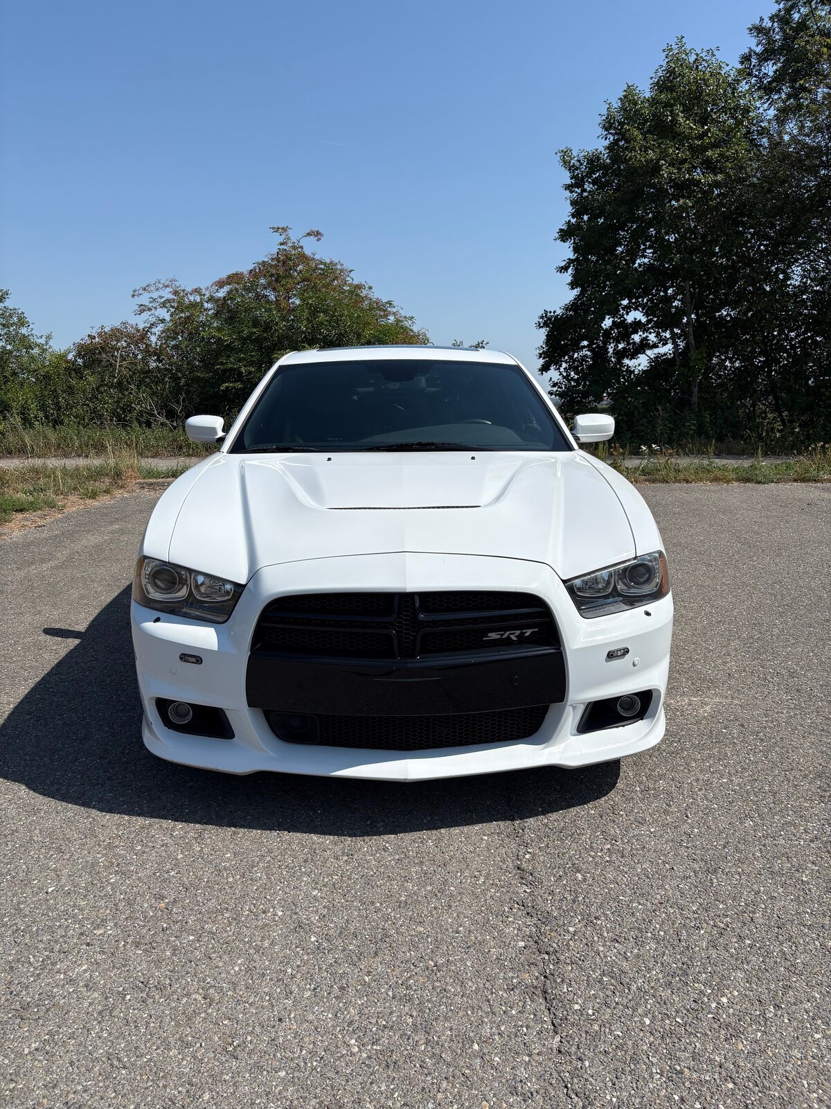 DODGE DODGE SRT-8, Benzin, Occasion / Gebraucht, Automatik - 4