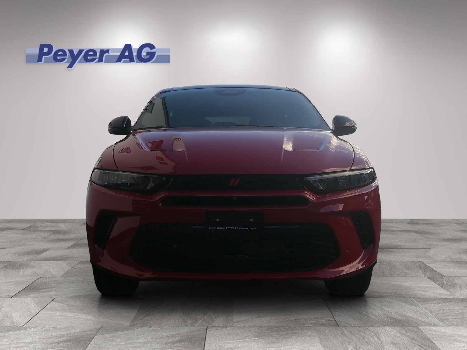DODGE Hornet