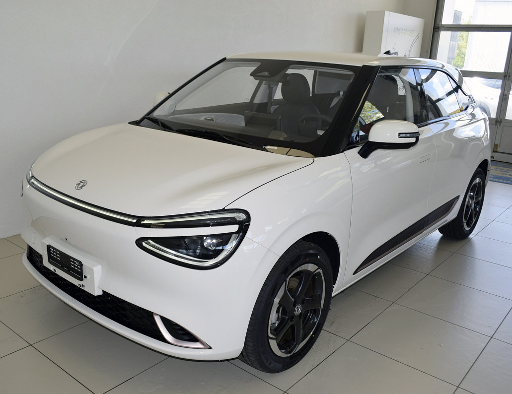 DONGFENG Box Electric