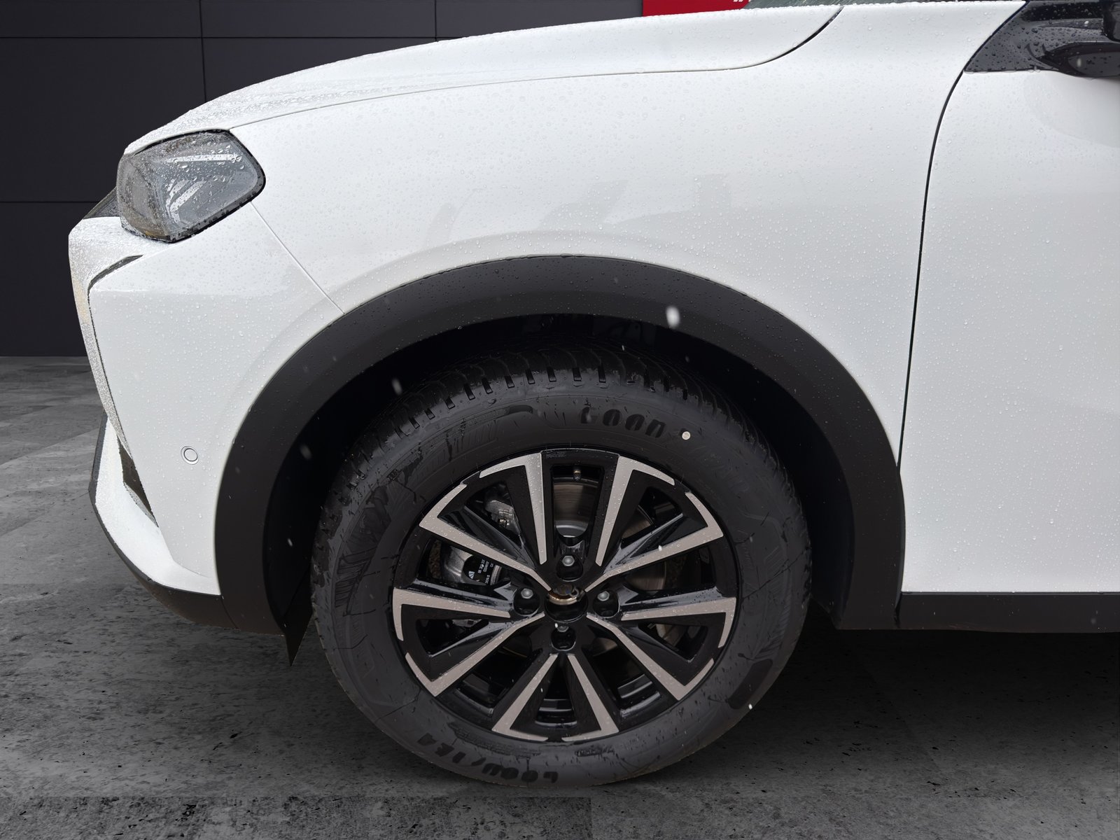 DS AUTOMOBILES DS3 1.2 MHEV Performance, Mild-Hybrid Benzin/Elektro, Neuwagen, Automatik - 5