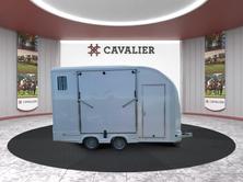 EQUI-TREK Day Treka Excel 3000KG, Essence, Voiture nouvelle, Manuelle - 2
