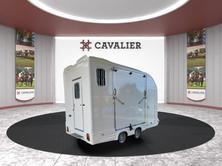 EQUI-TREK Day Treka Excel 3000KG, Essence, Voiture nouvelle, Manuelle - 3