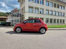 FIAT 500 1.0 N3 MildHybrid Swiss Edition, Mild-Hybrid Benzin/Elektro, Neuwagen, Handschaltung - 2