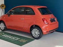 FIAT 500 1.0 Hybrid Cult, Mild-Hybrid Benzin/Elektro, Neuwagen, Handschaltung - 3