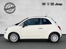 FIAT 500 1.0 Hybrid Cult Edition, Hybride Leggero Benzina/Elettrica, Auto nuove, Manuale - 4