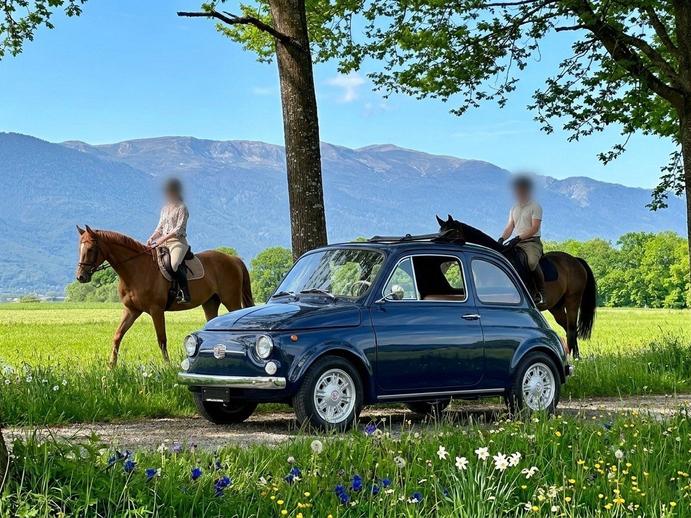 FIAT 500 Nuova 110F, Essence, Occasion / Utilisé, Manuelle
