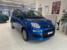 FIAT CityLife, Mild-Hybrid Benzin/Elektro, Neuwagen, Handschaltung - 2