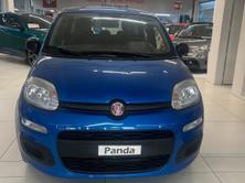 FIAT CityLife, Mild-Hybrid Benzin/Elektro, Neuwagen, Handschaltung - 3
