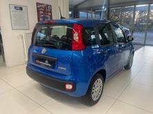 FIAT CityLife, Mild-Hybrid Benzin/Elektro, Neuwagen, Handschaltung - 4