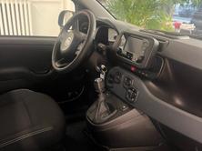 FIAT CityLife, Mild-Hybrid Benzin/Elektro, Neuwagen, Handschaltung - 5