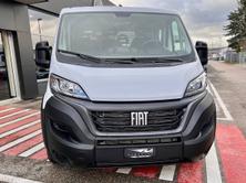 FIAT Ducato 35 dcab.pick-up 3450 2.2 Swiss Ed., Diesel, Auto nuove, Manuale - 3