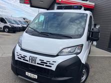 FIAT Ducato 35 L2H1, Diesel, New car, Manual - 2