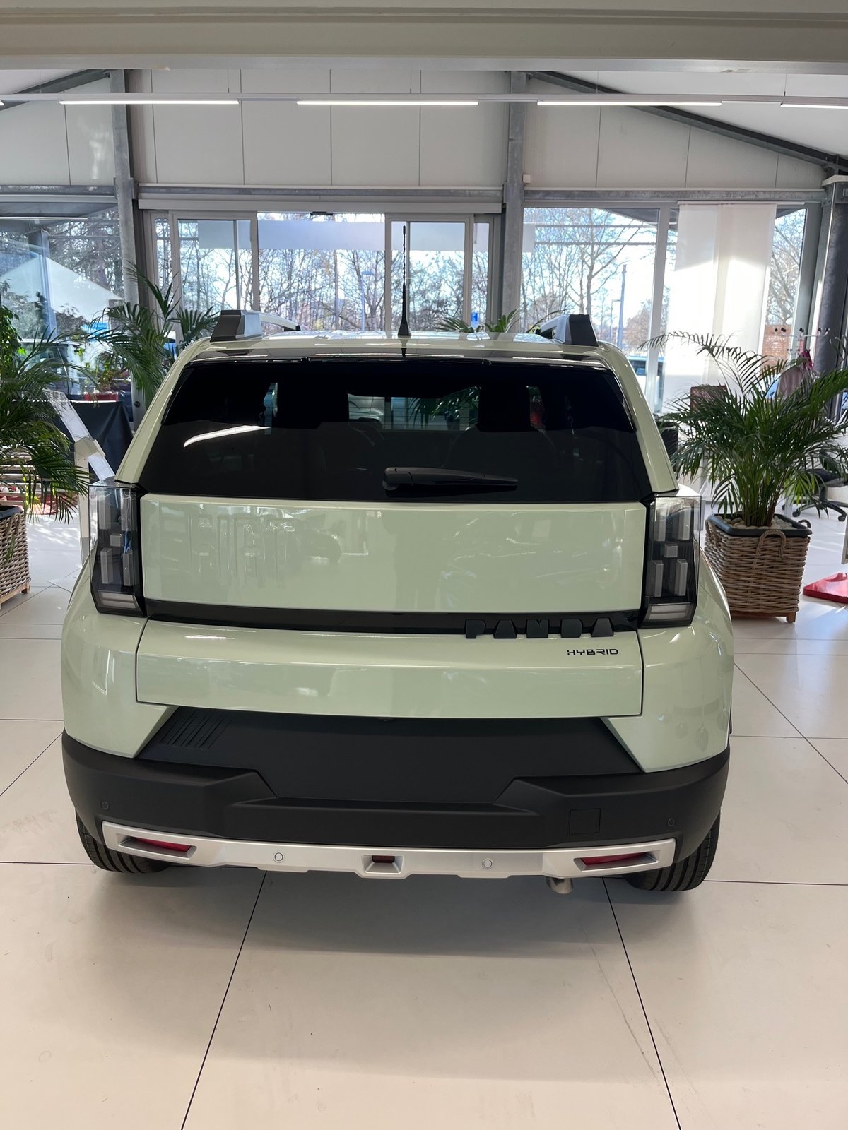 FIAT Icon, Mild-Hybrid Benzin/Elektro, Neuwagen, Automatik - 4
