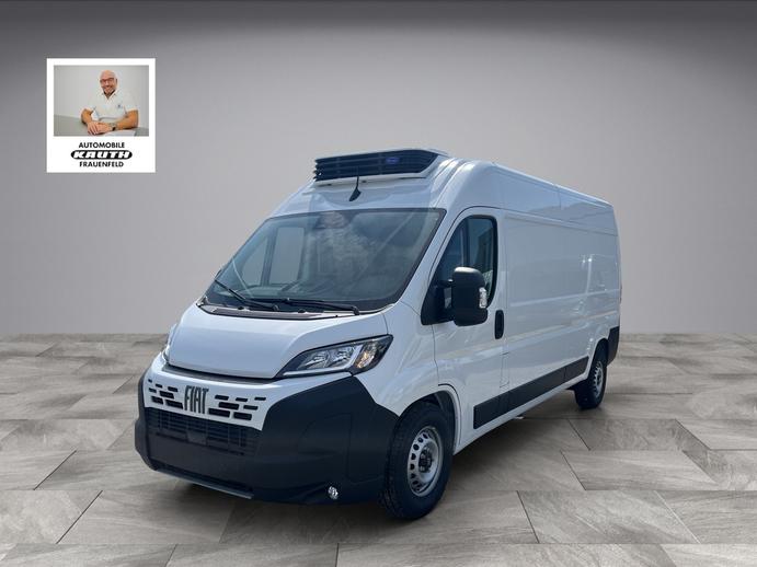 FIAT Kühlfahrzeug, bis minus 20 L3H2 Automat, AHK,, Diesel, Auto nuove, Automatico