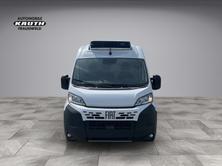 FIAT Kühlfahrzeug, bis minus 20 L3H2 Automat, AHK,, Diesel, Auto nuove, Automatico - 4