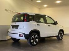 FIAT Panda 1.0 MHEV Cross Look, Mild-Hybrid Petrol/Electric, New car, Manual - 2