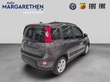 FIAT Panda 1.0 MHEV City Life, Mild-Hybrid Petrol/Electric, New car, Manual - 4
