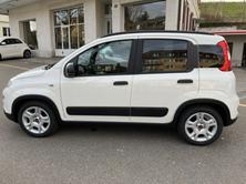 FIAT Panda 1.0 MHEV City Life, Mild-Hybrid Petrol/Electric, New car, Manual - 2