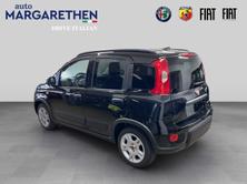 FIAT Panda 1.0 MHEV City Life, Mild-Hybrid Benzin/Elektro, Neuwagen, Handschaltung - 2