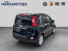 FIAT Panda 1.0 MHEV City Life, Hybride Leggero Benzina/Elettrica, Auto nuove, Manuale - 3