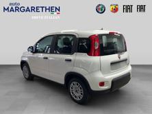 FIAT Panda 1.0 MHEV Cult, Mild-Hybrid Benzin/Elektro, Neuwagen, Handschaltung - 2