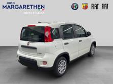 FIAT Panda 1.0 MHEV Cult, Mild-Hybrid Benzin/Elektro, Neuwagen, Handschaltung - 3