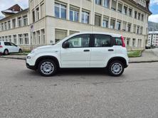 FIAT Panda 1.0 MHEV Cult, Mild-Hybrid Benzin/Elektro, Neuwagen, Handschaltung - 2