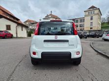FIAT Panda 1.0 MHEV Cult, Mild-Hybrid Benzin/Elektro, Neuwagen, Handschaltung - 4