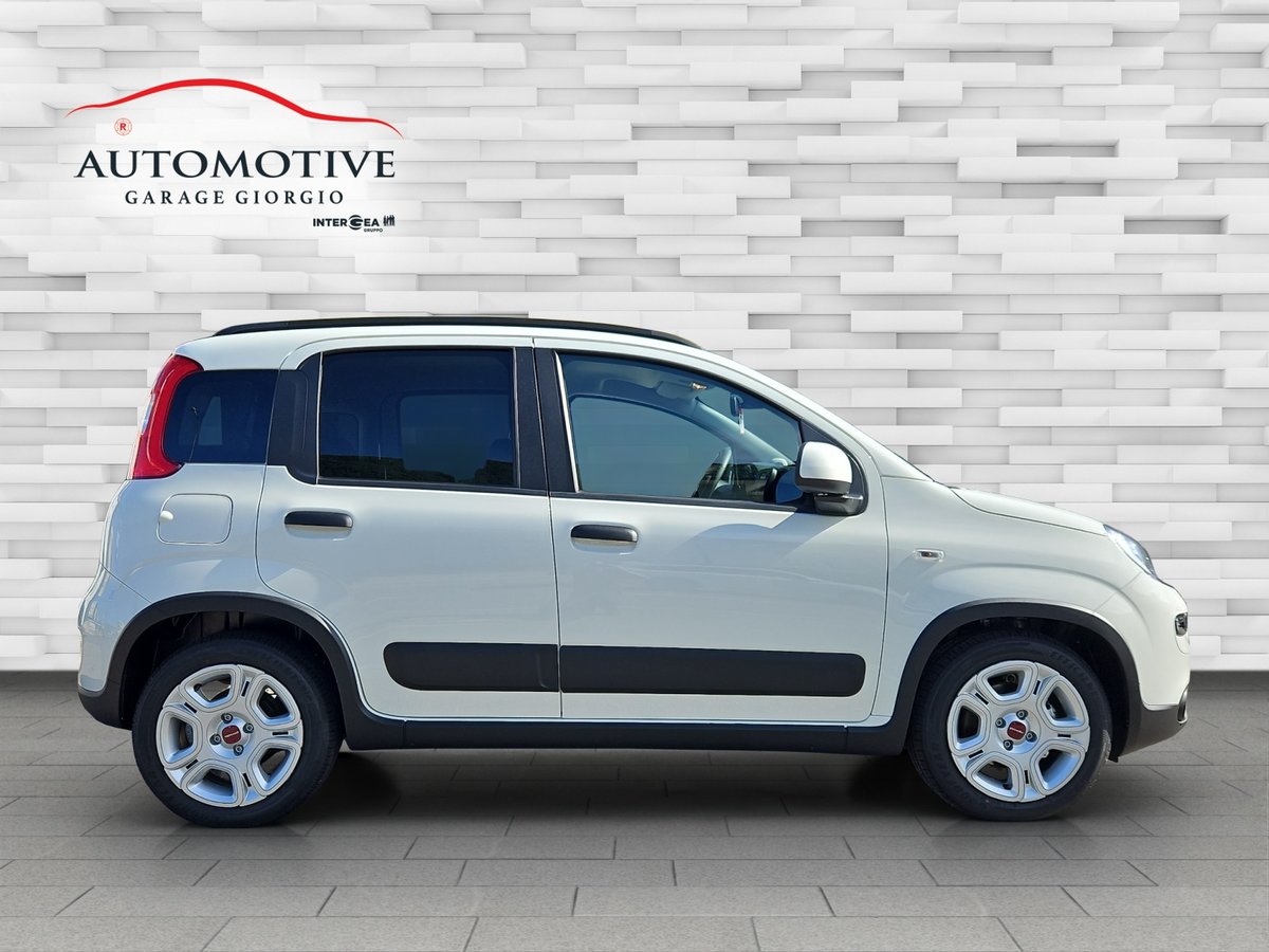 FIAT Panda 1.0 MHEV City Life Plus, Hybride Leggero Benzina/Elettrica, Auto nuove, Manuale - 2