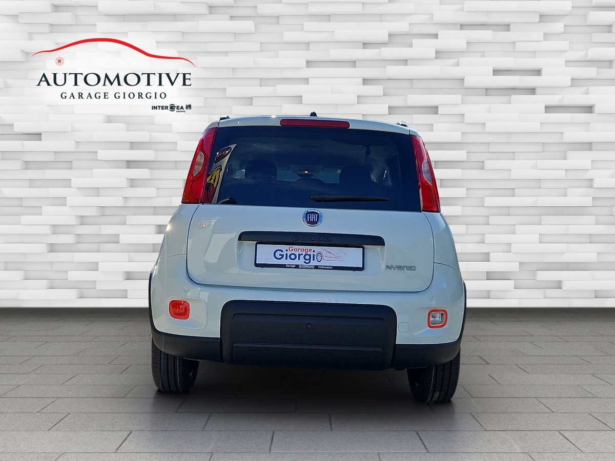 FIAT Panda 1.0 MHEV City Life Plus, Hybride Leggero Benzina/Elettrica, Auto nuove, Manuale - 5