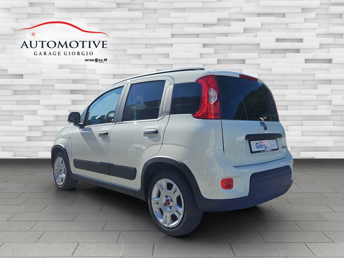 FIAT Panda 1.0 MHEV City Life Plus, Hybride Leggero Benzina/Elettrica, Auto nuove, Manuale - 7