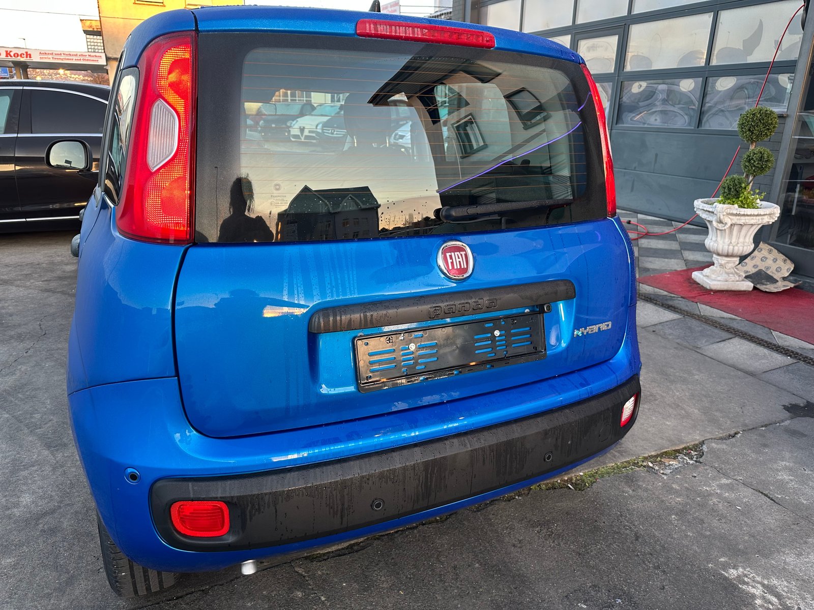 FIAT Panda 1.0 MHEV Pandina, Hybride Leggero Benzina/Elettrica, Auto nuove, Manuale - 4