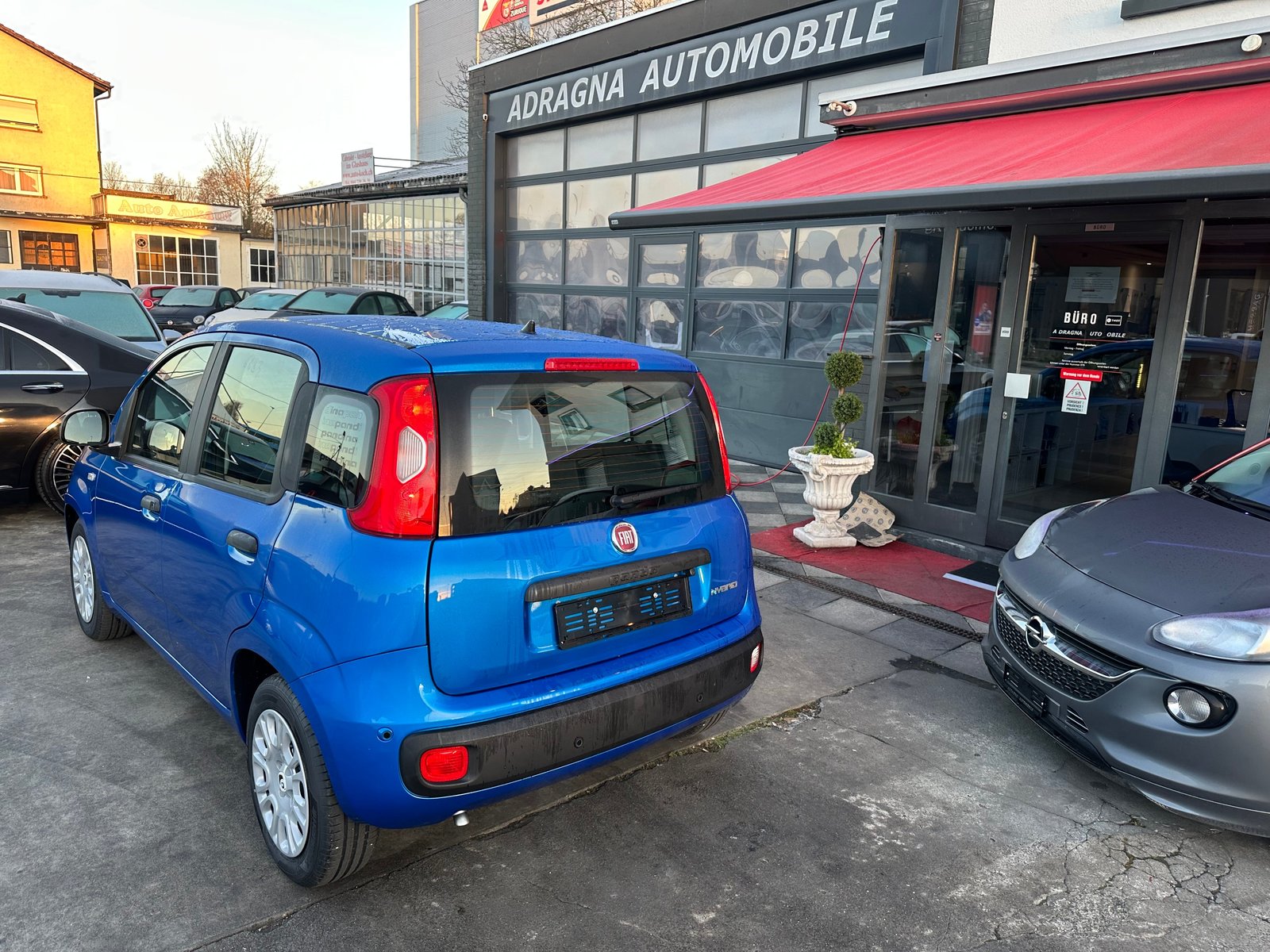 FIAT Panda 1.0 MHEV Pandina, Hybride Leggero Benzina/Elettrica, Auto nuove, Manuale - 5