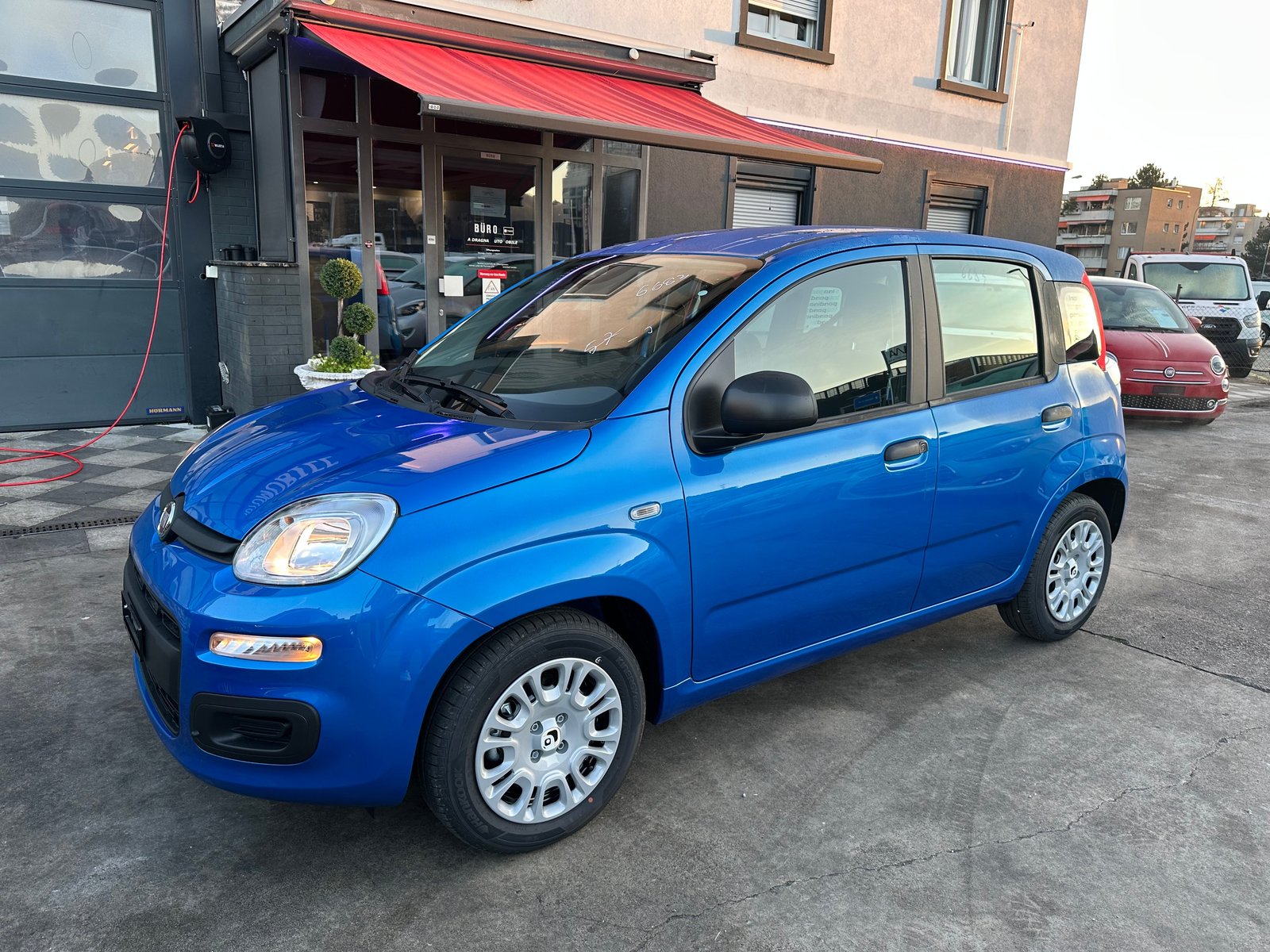 FIAT Panda 1.0 MHEV Pandina, Hybride Leggero Benzina/Elettrica, Auto nuove, Manuale - 6