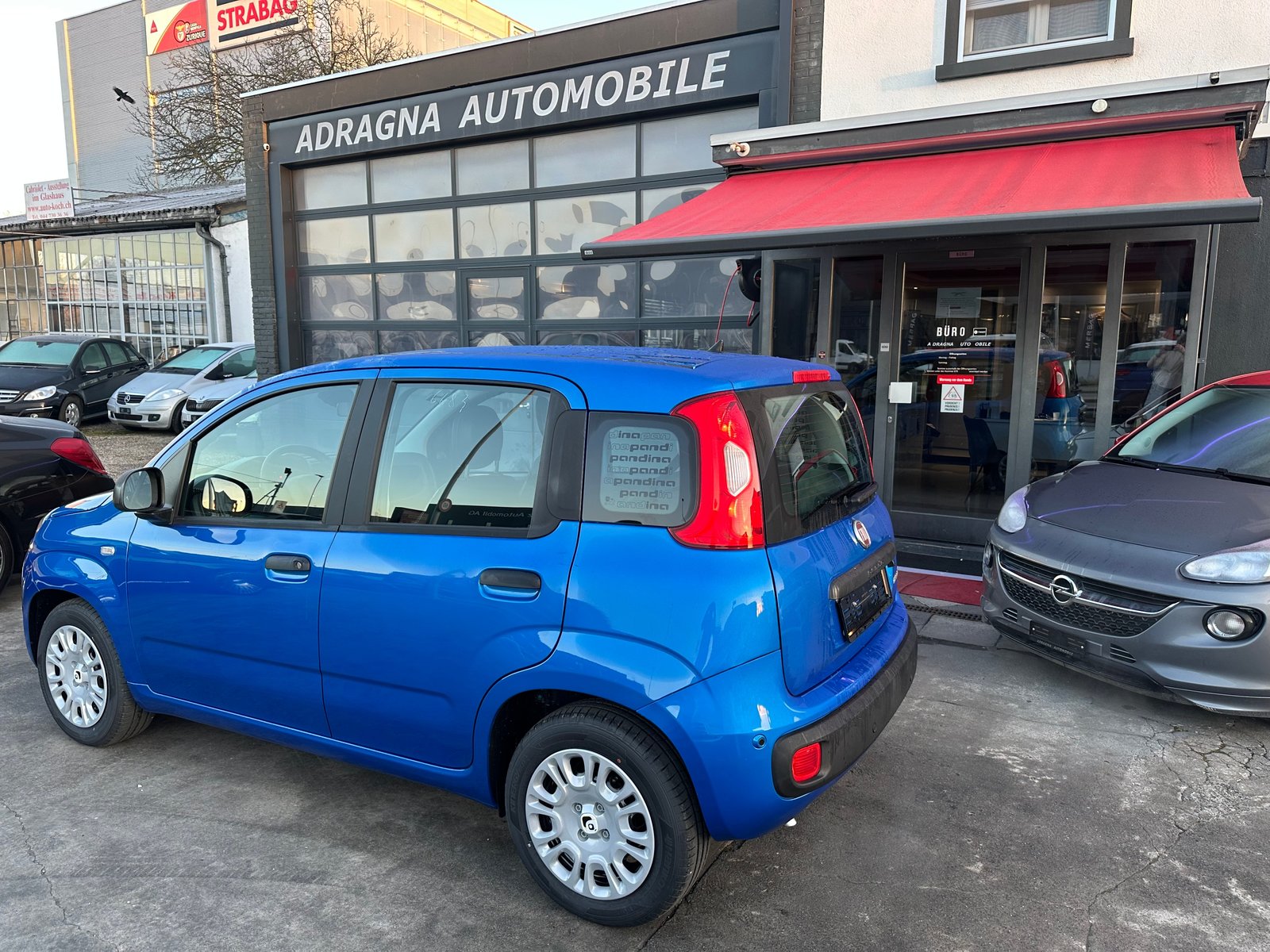 FIAT Panda 1.0 MHEV Pandina, Hybride Leggero Benzina/Elettrica, Auto nuove, Manuale - 7