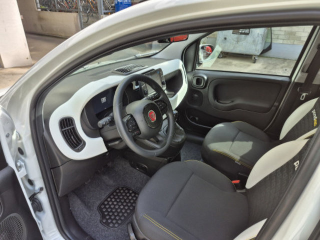 FIAT PANDA 1.0 MHEV Cross, Mild-Hybrid Petrol/Electric, New car, Manual - 3