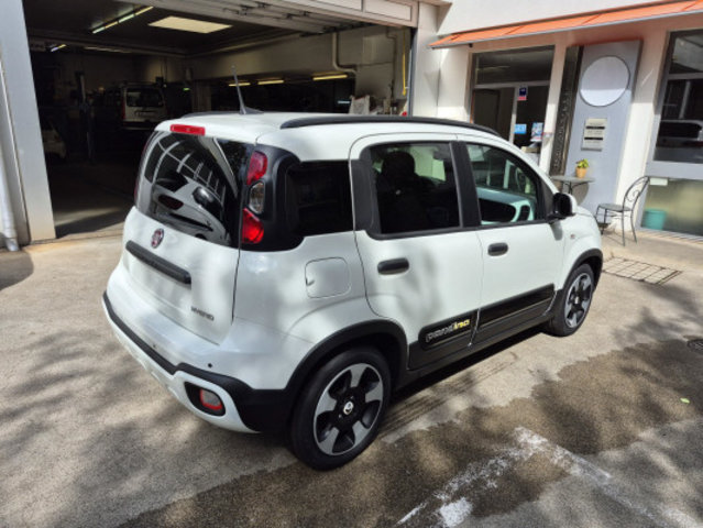 FIAT PANDA 1.0 MHEV Cross, Mild-Hybrid Petrol/Electric, New car, Manual - 6