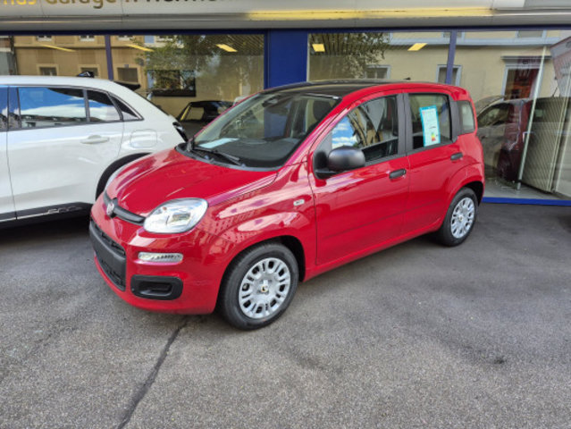 FIAT PANDA 1.0 MHEV Cult
