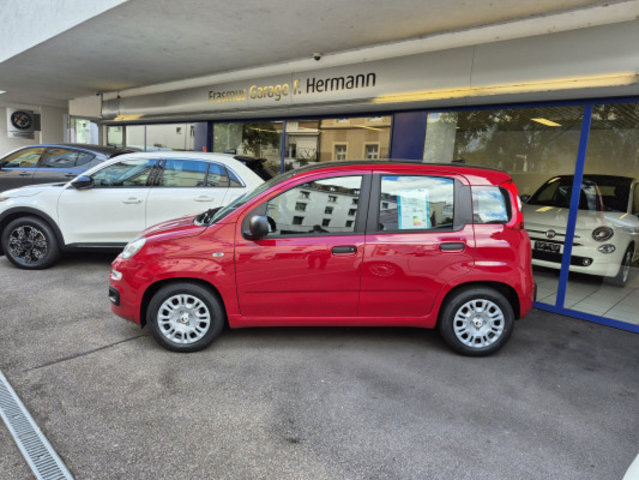 FIAT PANDA 1.0 MHEV Cult, Mild-Hybrid Petrol/Electric, New car, Manual - 2