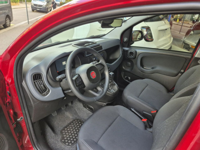 FIAT PANDA 1.0 MHEV Cult, Mild-Hybrid Petrol/Electric, New car, Manual - 3