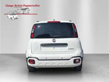 FIAT Panda 1.0 MHEV Cross, Mild-Hybrid Petrol/Electric, New car, Manual - 5